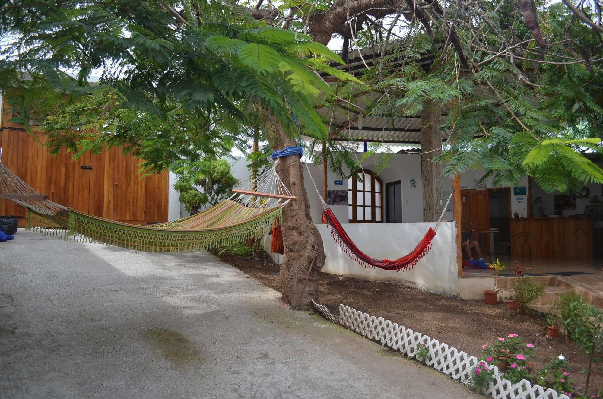 Hostal White House Galapagos Puerto Ayora  Esterno foto
